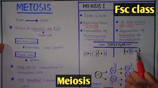 Meiosis  Cell Division  Class 12 Biology [upl. by Foskett]