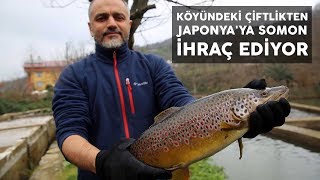 Köyündeki çiftlikten Japonyaya somon ihraç ediyor [upl. by Zales274]