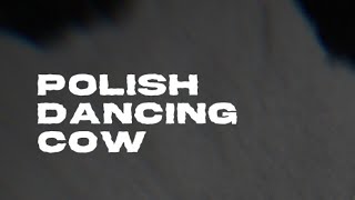 Dancing Polish Cow Cerds Remix [upl. by Keemahs]