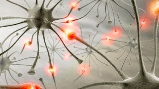 How We Learn  Synapses and Neural Pathways [upl. by Churchill974]