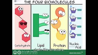 Biomolecules 1 [upl. by Rapsag247]