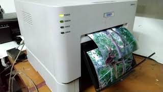 DNP Photo Printer Speed and Quality  DNP Thermal photo printer speed  DNP printer [upl. by Henrion749]