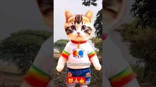 Cat Dance 😺  Cute kitten cat lovecats catscatvideos kittens catlover princesscatkitten [upl. by Nylarad]