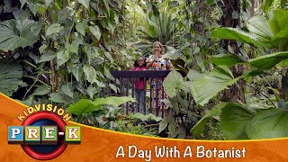 A Day With A Botanist  Virtual Field Trip  KidVision PreK [upl. by Lazaruk775]