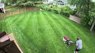 Lawn Striping Timelapse [upl. by Soinotna646]