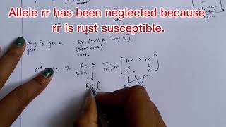 Backcross Method  Transfer of Dominant Gene  Plant Breeding  KU BSc Agriculture [upl. by Lilybel536]