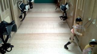 Schleich serie Rivalen 1 [upl. by Aiuqal]