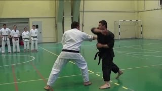 Shorin Ryu Karate Do  Okinawan Kobudo  Self Defense [upl. by Mariandi993]