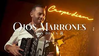 Los De La B  Ojos Marrones Official Video [upl. by Aileda]