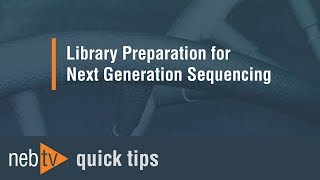 Quick Tips  Adding the lysis buffer for the PCR in the NEBNext RNA workflow [upl. by Daune935]