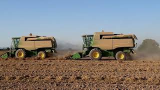 Trilladoras John Deere🦌 cosechando frijol🌱 en Tecuala Nayarit [upl. by Flanagan]