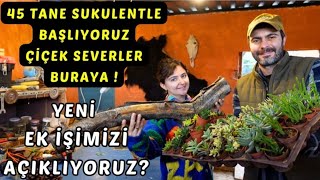 YENİ EK İŞİMİZ 45 TANE SUKULENTLE BAŞLIYORUZ ÇİÇEK SEVERLER BURAYA  ATEŞTE KIZARTMA KÖY VLOG [upl. by Enaek]