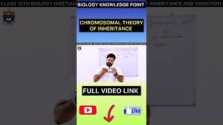 Chromosomal Theory of Inheritance Class 12  viral shorts [upl. by Ellinehc]