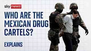 Who are the Mexican drug cartels [upl. by Navac]