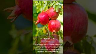 Benefits to eat pomegranate fruit benefits pomegranate healthylifestyle healthy facts [upl. by Hctub]