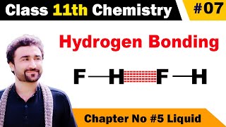 Hydrogen bonding class 11 chemistry  Examples and explanation of hydrogen bonding [upl. by Ekram]