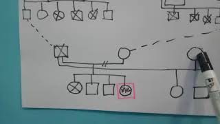 Cara Membuat Genogram Pohon Keluarga [upl. by Fulvia]