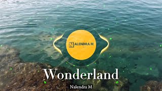 DJ Wonderland Remix Slow Terbaru Full Bass New  DJ Slow Remix   Nalendra M [upl. by Win]