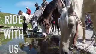 Horseback Riding Dolomites with Charlotte Horse Riding ASD [upl. by Akeemat]