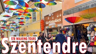 Wander Through The Szentendre Summer Festival With This Guided Tour [upl. by Petronilla]