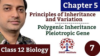 Polygenic Inheritance Pleiotropy  Chapter 5 Principles of Inheritance and Variation  07  Class 12 [upl. by Demha]