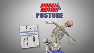 MuscleampMotion POSTURE [upl. by Curkell390]