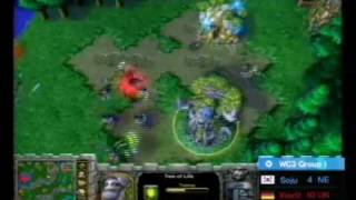 2006 GrandFinal WarCraft3 SojuKOR vs XlorDGER [upl. by Nylekoorb]