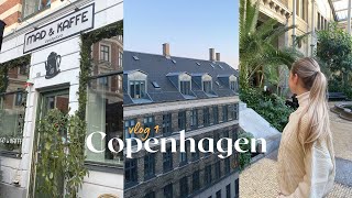 COPENHAGEN DENMARK  TRAVEL VLOG  Sightseeing Air BnB Tour amp Yummy food Pt 1 [upl. by Rayshell]