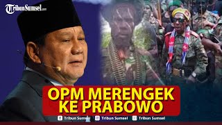 🔴LIVE OPM Merengek ke Prabowo TNI Kerahkan DroneHeli dan Pesawat Tempur [upl. by Natividad]