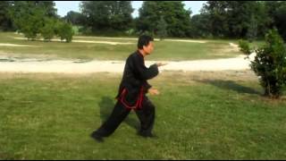 Hunyuan Taijiquan 48  Wang Fengming [upl. by Thorlie]