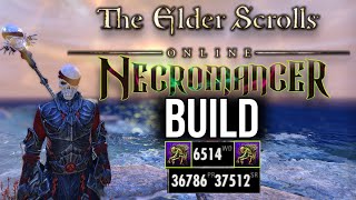 Elder Scrolls Online Necromancer Build  Outnumbered PvP Nycecro [upl. by Aicsile]