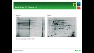 2D Electrophoresis Tips amp Tricks  Part I [upl. by Oiratno]