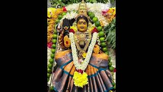 🌹🌹👉devotional songs trendingshorts  amman 🌹🌹🏵👈 [upl. by Phillie39]