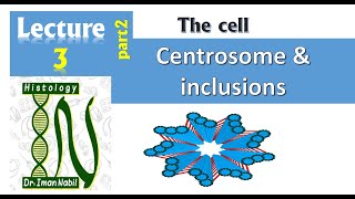 3b Centrosome and cell inclusions CellHistology [upl. by Gardell]