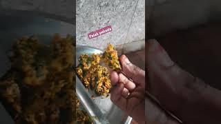 Palak pakoda recipe cooking food villagevlog palakpakoda village villageplants snacks palak [upl. by Deden]