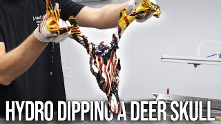 How to HYDRO DIP a Deer Skull [upl. by Ahsilav]