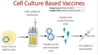 What is Cell Culture Based Vaccine [upl. by Atiragram]