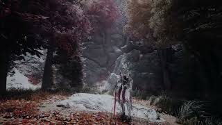 Skyrim Dark Bjorn ENB [upl. by Ruben496]