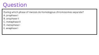 During which phase of meiosis do homologous chromosomes separate [upl. by Laforge]