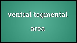 Ventral tegmental area Meaning [upl. by Akcimahs]