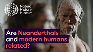 Are Neanderthals and modern humans related [upl. by Padegs265]