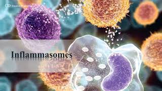 NLRP3 INFLAMMASOME [upl. by Hunter]