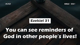 【 Ezekiel 31 】You can see reminders of God in other people’s lives ｜ACAD Bible Reading [upl. by Hizar973]