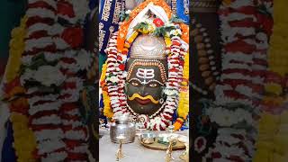 BOLO MAHAKAL ॐ MAHARAJ KI JAI  JAI SHREE MAHAKAL shortvideo mahakal aarti namasthe shri [upl. by Sualokcin778]