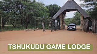 EPIC Adventure at Tshukudu Game Lodge Hoedspruit [upl. by Asiole807]