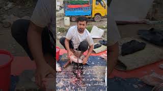 Amazing Big Katla Fish Super First Cutting fish fishcutting fishcuttingskills youtubeshorts [upl. by Drarreg]