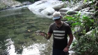 Fishing for Borneo Mahseer [upl. by Ylekalb231]