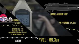 Gamo Arrow PCP full review [upl. by Hershell]