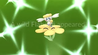 Shiny Flabébé amp Cottonee Hunt [upl. by Roma]