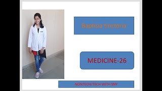 Baptisia tinctoriaHomeopathy Medicinein hindi By Premwati Yadav [upl. by Llemmart]